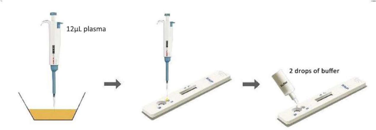 D-Dimer Rapid Test Device1